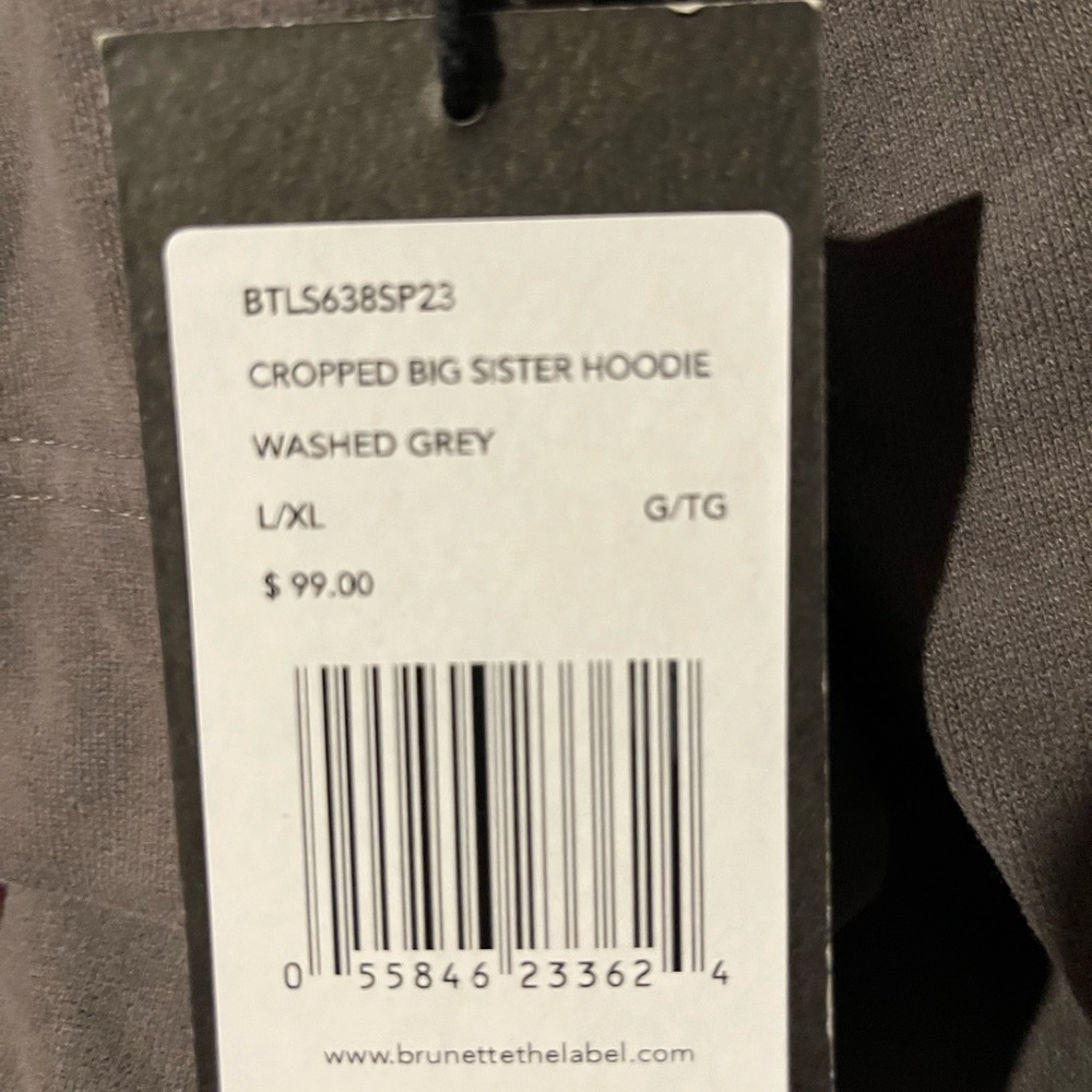 Brunette The Label Cropped Big Sister Hoodie